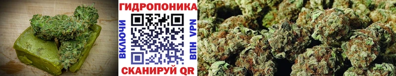 omg   даркнет сайт  Ишим  Cannafood конопля 