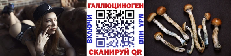 Галлюциногенные грибы Cubensis  блэк спрут ссылка  Ишим 